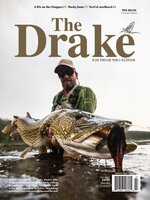 The Drake